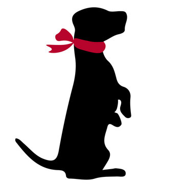 Jack russell terrier. Vector black silhouette on a white background. Illustration of dog breeds