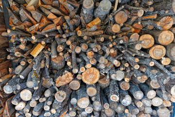 Fototapeta premium Firewood stock for winter