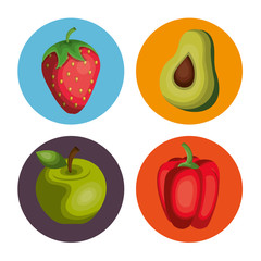 nutrition healthy food icon vector illustration design