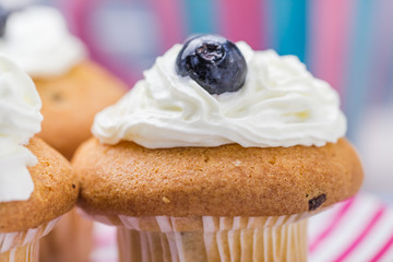 Sweet delicious muffins cream cranberries