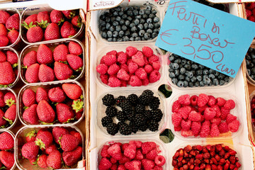 Frutti di bosco