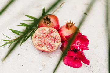 Fototapeta na wymiar still life with pomegranate and oleander flowers