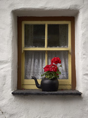 Fototapeta na wymiar Window Teapot