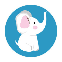 cute elephant baby icon vector illustration design