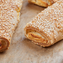 Homemade appetizers with cheese fillings. Cakes sprinkled with s