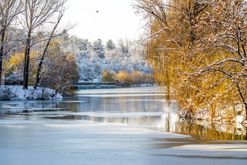 frozen pond in a park