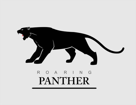Fearless Panther. Roaring Predator. Roaring Panther. Elegant panther.