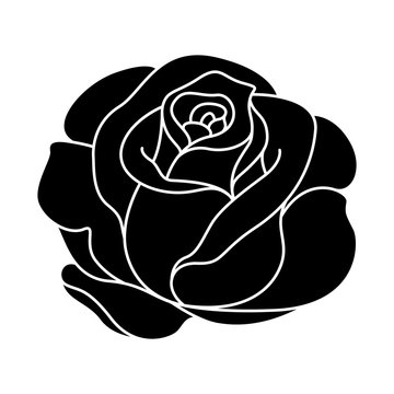 silhouette of black and white rose