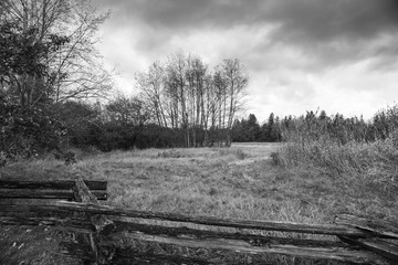 Rustic Fence BW