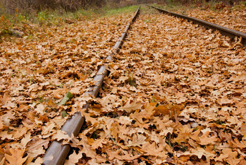 Abandoned railway line