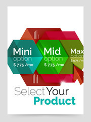 Business a4 brochure or flyer template with options