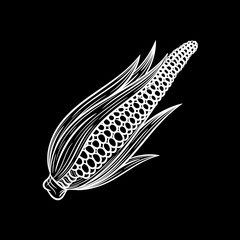 Hand drawn corn sketch. Vector illustration