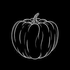 Hand drawn pumpkin sketch. Vector illustration
