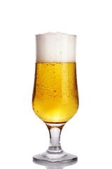 glass of beer