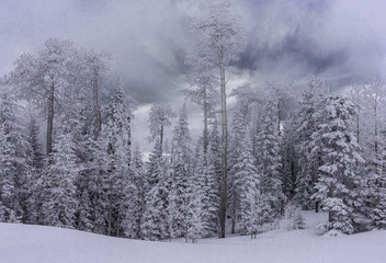 Sandia Mountains Snow