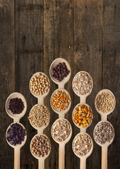 Different Seeds on Wooden Spoons