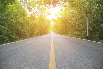 Stock Photo:.Tree Tunne