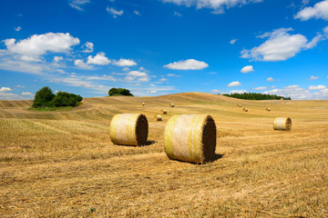 Bales of Straw in Stubble Field during Harvest, Summer Landscape of Rolling Hills under Blue Sky