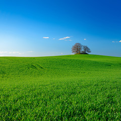 Hügelgrab inmitten eines grünen Feldes unter blauem Himmel