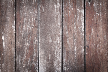 Wood texture or wood background. Wood motifs that occurs natural. Closeup natural wood detail for interior or exterior design with copy space for text or image.