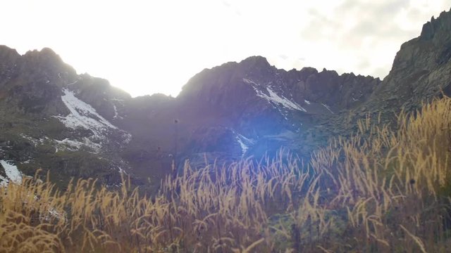 yellow autumn grass swaying in wind, snow tops with a beautiful lens flare