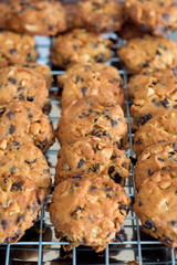 Chocolate chip cookies on a tray rack,Fresh baked cookies,Cookies close up shot.