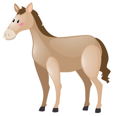 Fototapeta na wymiar Horse with brown fur