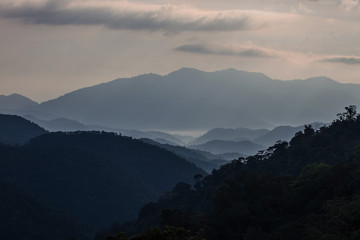 sea of fog with forests as foreground