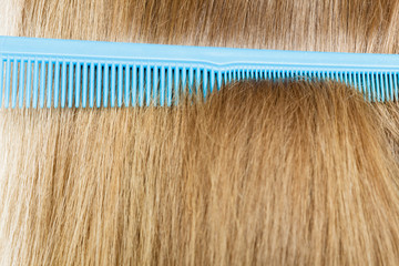 Close up of blue comb in blonde hair.