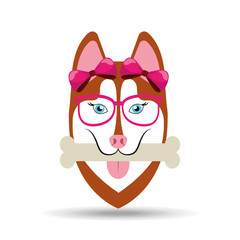 fashion female dog ribbon glasses and bone vector illustration eps 10