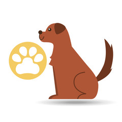 veterinary clinic concept paw dog vector illustration eps 10