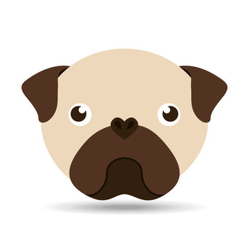 lovely head puppy pug dog vector illustration eps 10