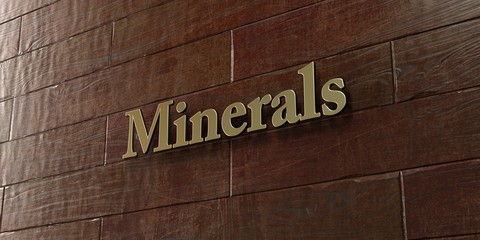 Minerals - Bronze plaque mounted on maple wood wall  - 3D rendered royalty free stock picture. This image can be used for an online website banner ad or a print postcard.