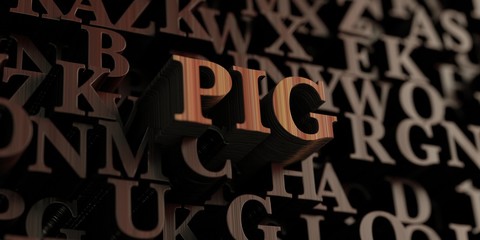 Pig - Wooden 3D rendered letters/message.  Can be used for an online banner ad or a print postcard.