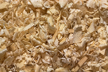 Background of randomly placed wooden shavings