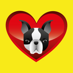 french bulldog face icon design vector illustration eps 10