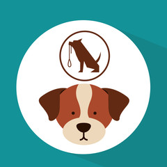 veterinary dog care training icon vector illustration eps 10