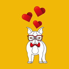 cute couple dog pet with glasses bow heart background vector illustration eps 10