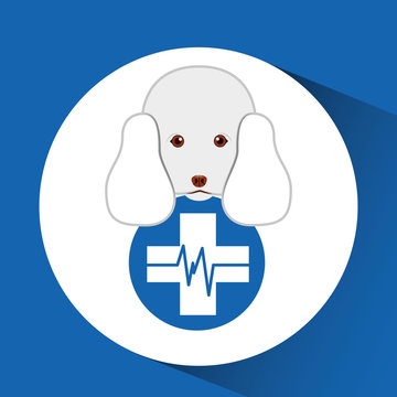 digital pet shop with poodle and clinic symbol vector illustration eps 10