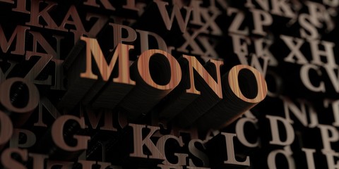 Mono - Wooden 3D rendered letters/message.  Can be used for an online banner ad or a print postcard.