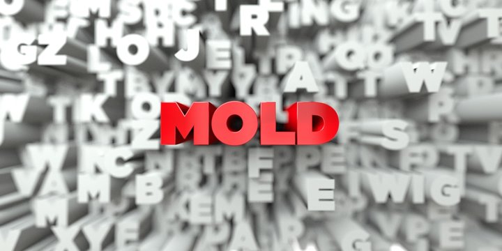 MOLD -  Red text on typography background - 3D rendered royalty free stock image. This image can be used for an online website banner ad or a print postcard.