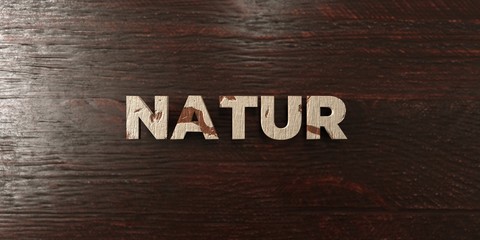 Natur - grungy wooden headline on Maple  - 3D rendered royalty free stock image. This image can be used for an online website banner ad or a print postcard.