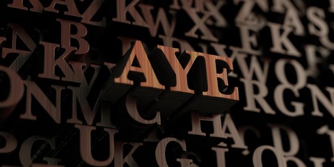 Aye - Wooden 3D rendered letters/message.  Can be used for an online banner ad or a print postcard.