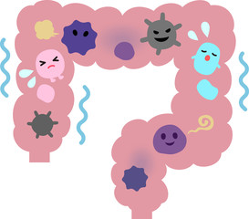悪玉菌が活発な大腸のイメージ
