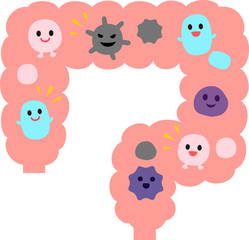 大腸にいる善玉菌と悪玉菌