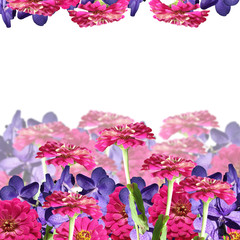 Beautiful floral background with orchids and tsiny 