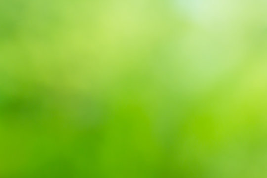 green blur background, green abstract