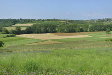 Obraz premium Paesaggio di campagna.