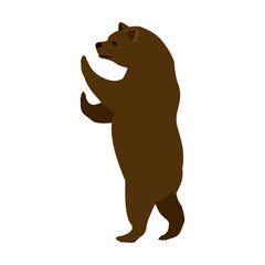 Bear icon. Animal wild nature wildlife and character theme. Isolated design. Vector illustration