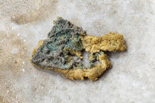 Old and dirty dish sponge